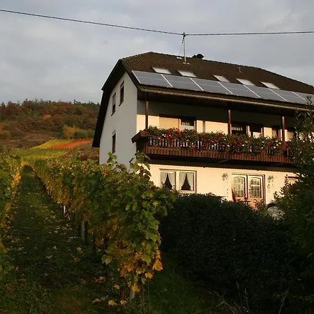 Weingut Hirschen Enkircherweg