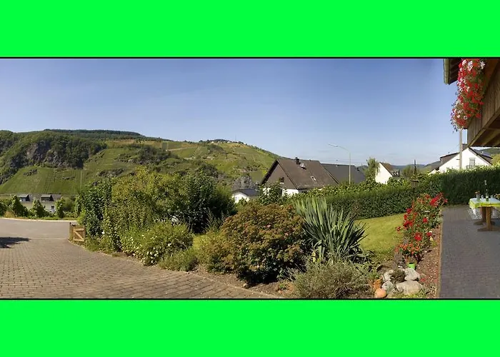 Weingut Hirschen Enkircherweg Burg (Bernkastel-Wittlich)