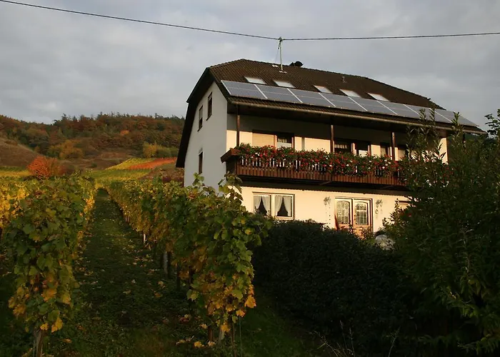 Weingut Hirschen Enkircherweg